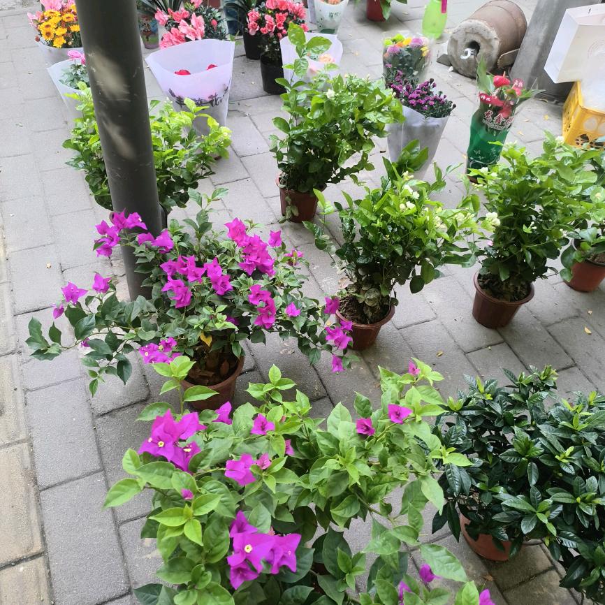 (￣ε(#￣)☆╰╮o(￣▽￣///)