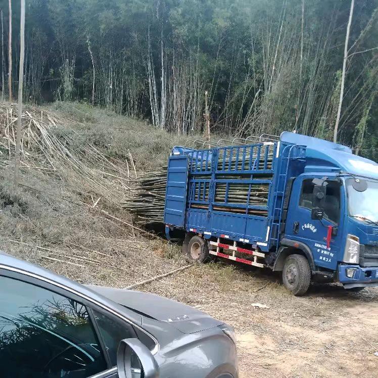 资源分享