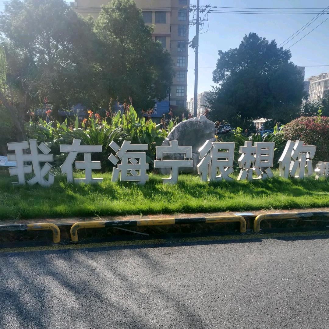 💚花开蝶自来💚