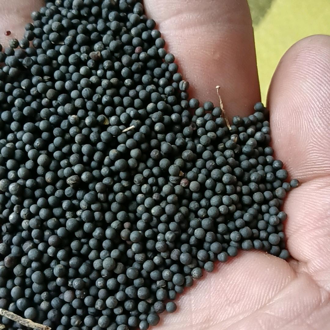 用户2110055991536