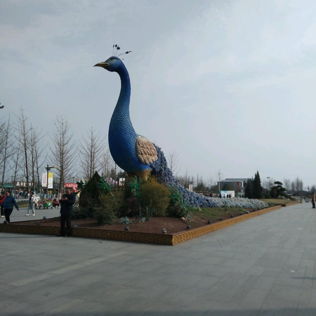 溜鲸鱼的猫🐱🐱