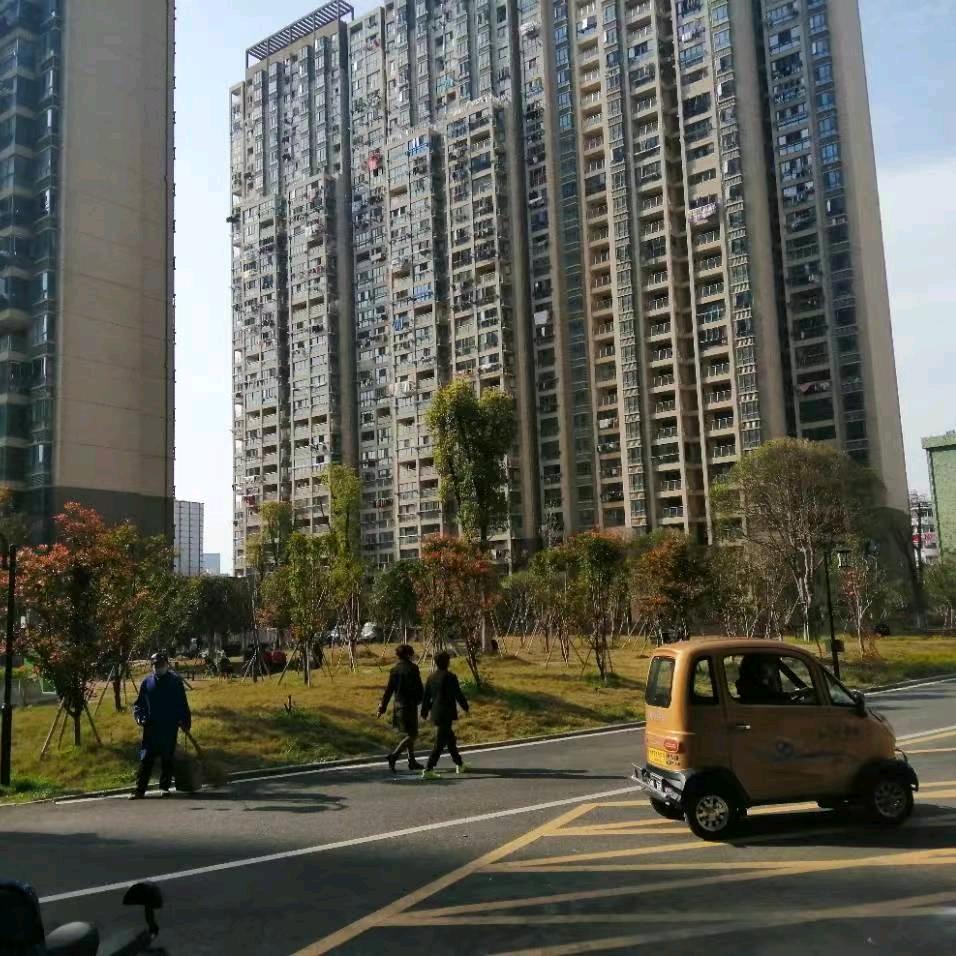 湖南升学规划胡老师