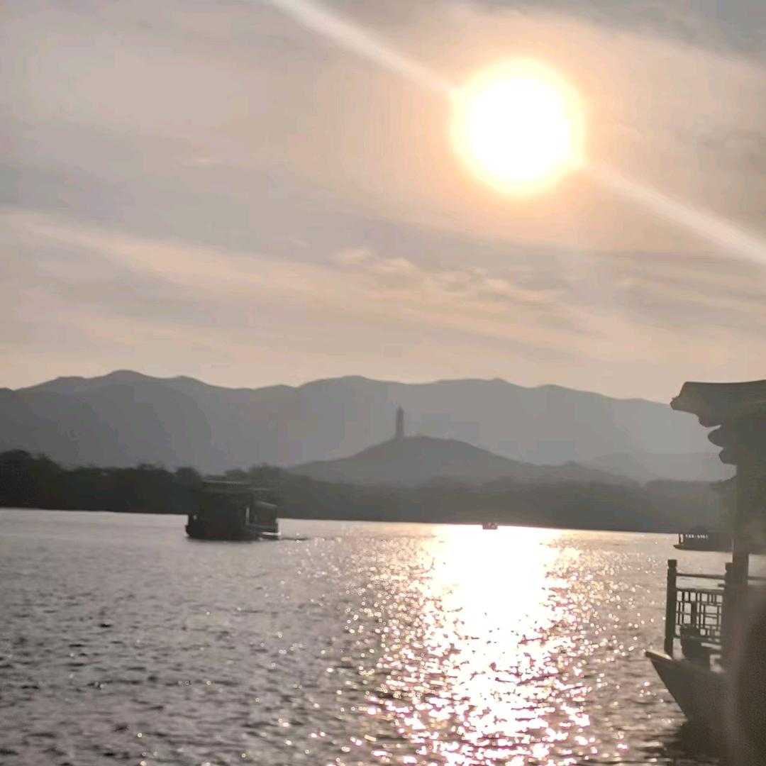 旺财小猪🐖🐖