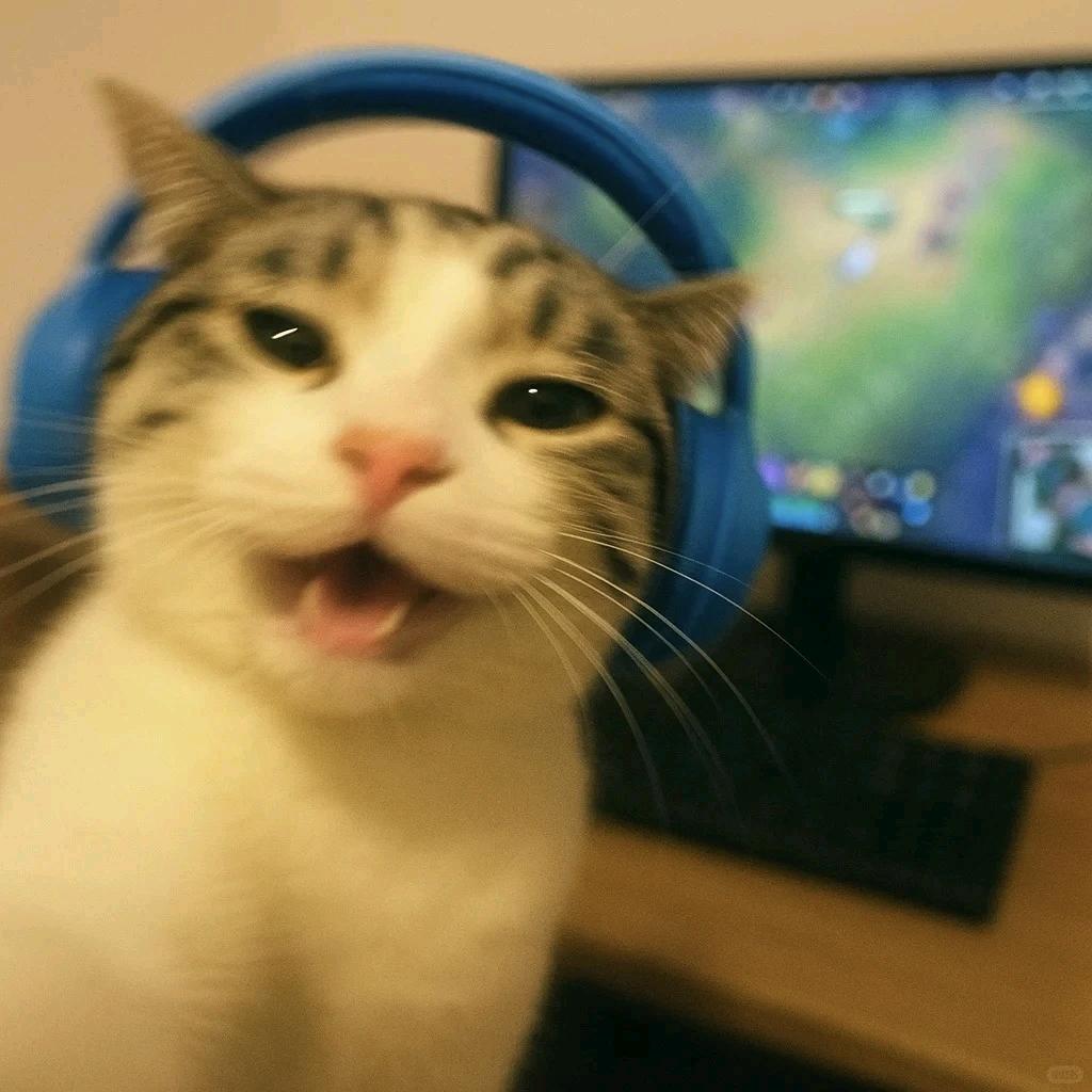 吃泡馍🎮