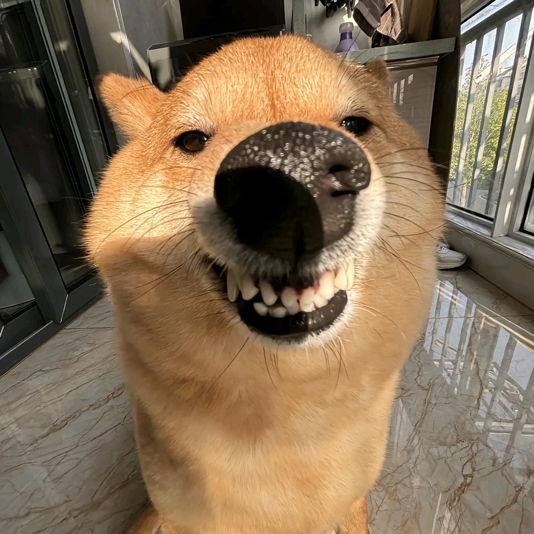 钱难挣史还行