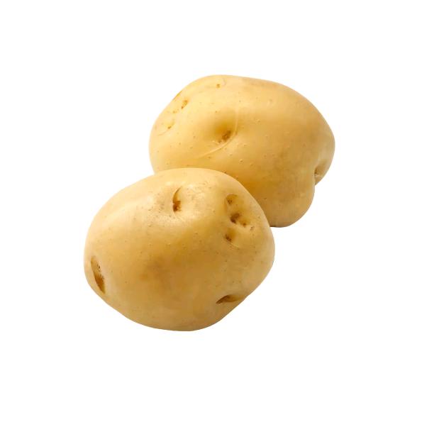 那个土豆🥔（增肌中）