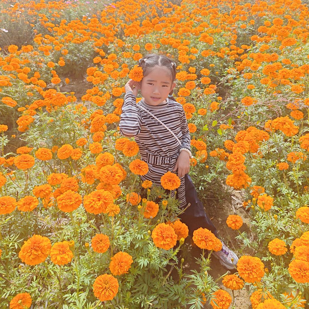 糖̌⺗泡泡🫧