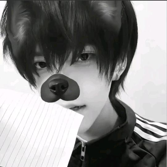 困（不回信息就是在忙或者睡觉）