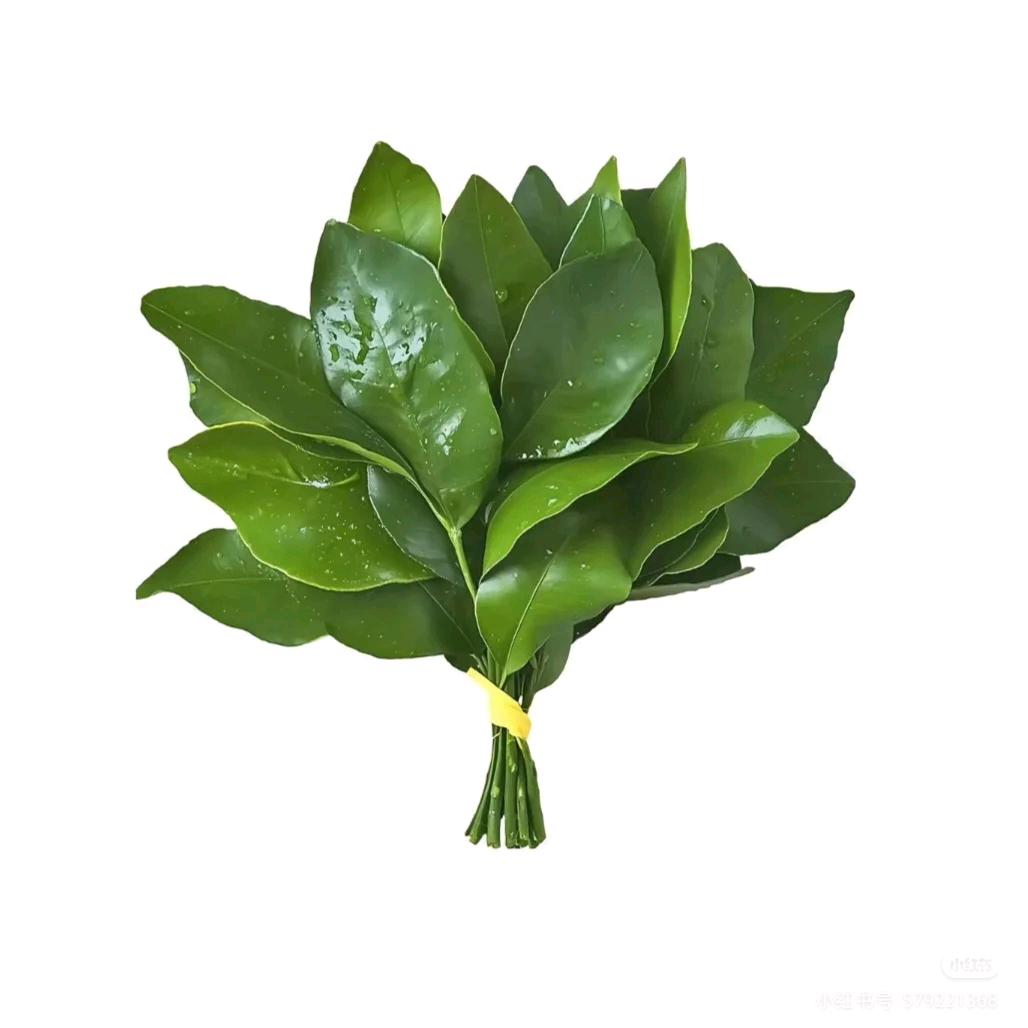 ZERen
