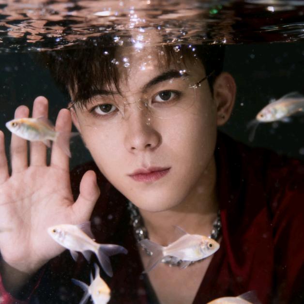 ᰔᩚ欠欠🍃问世直播切片🍃¹²¹⁴