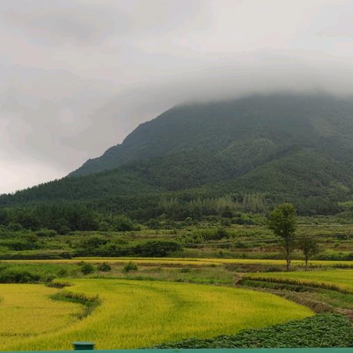 尤小楠