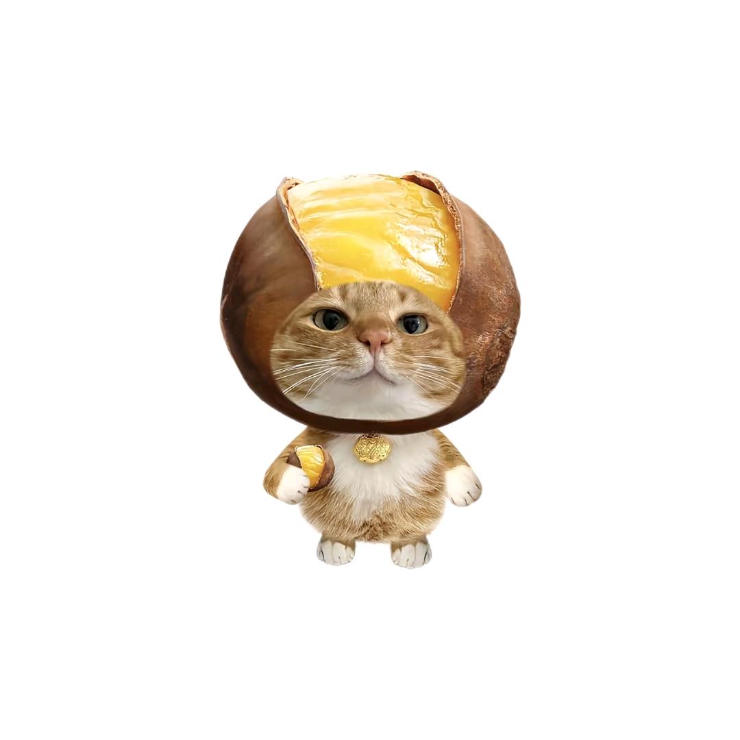 .i.