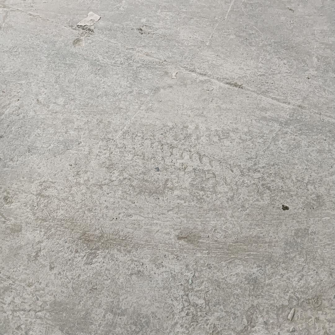 鲨