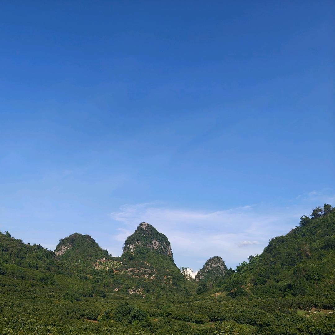 陈忠伟