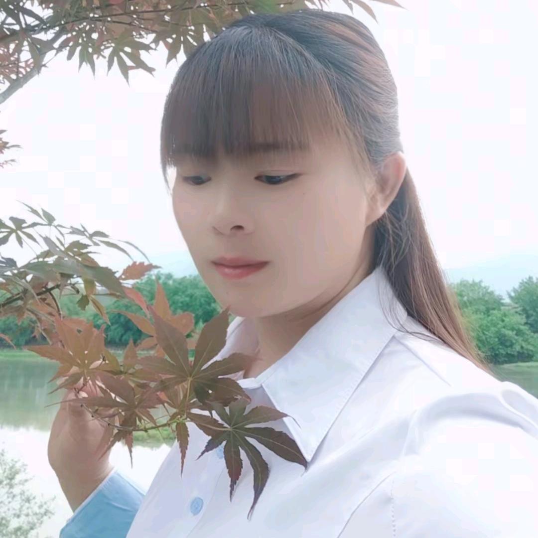 别🈚️所求，只求❤️安