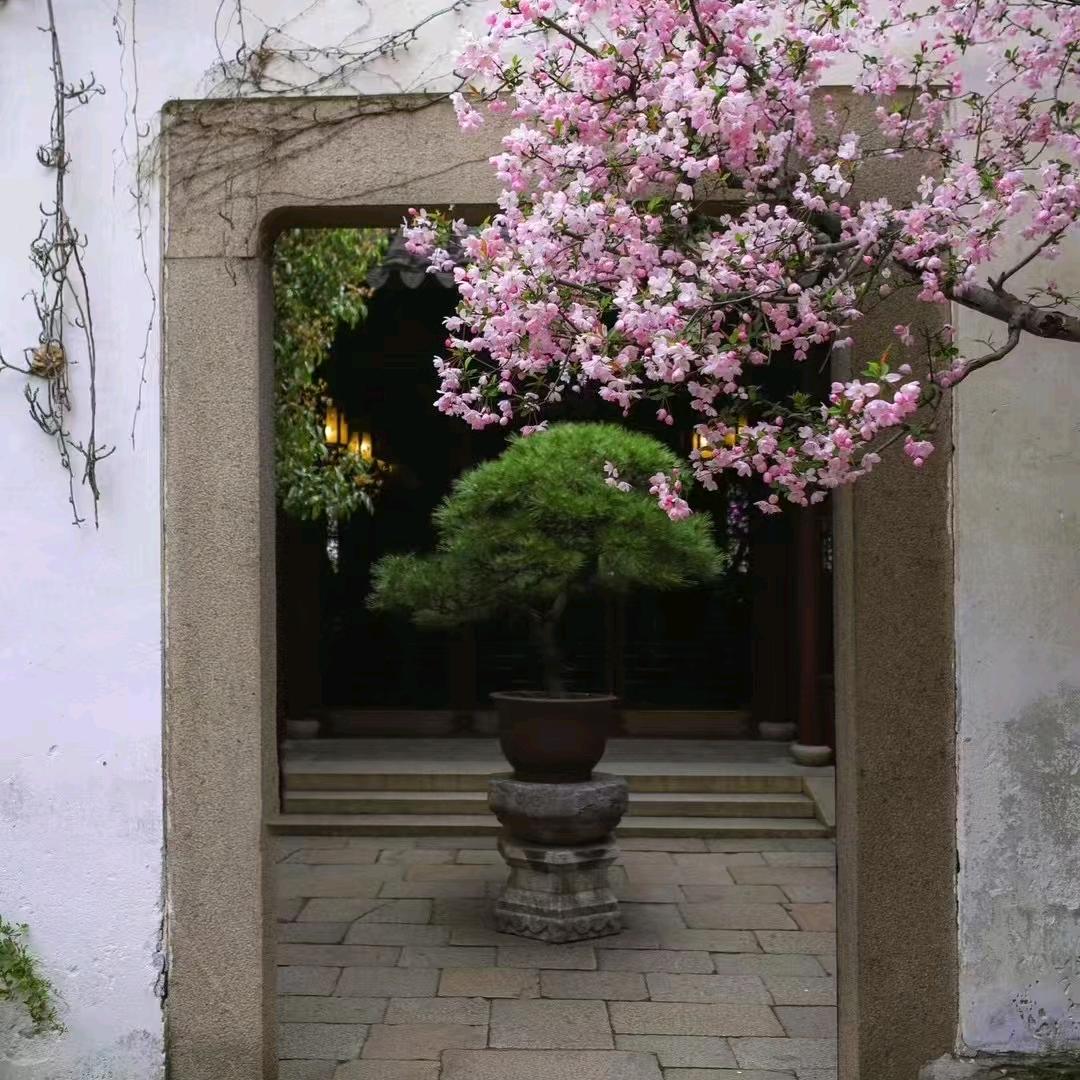美青🌸