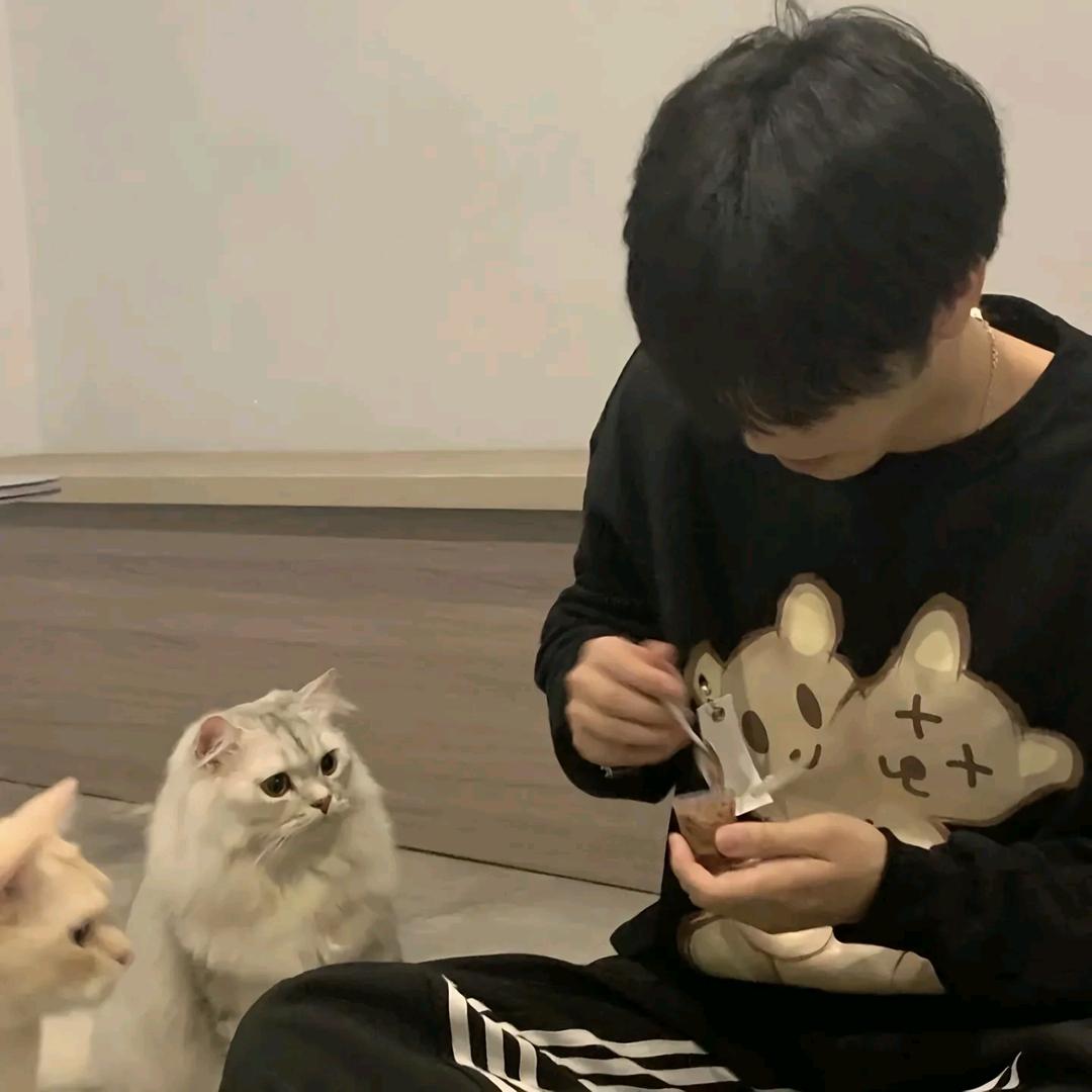 懒羊羊村长