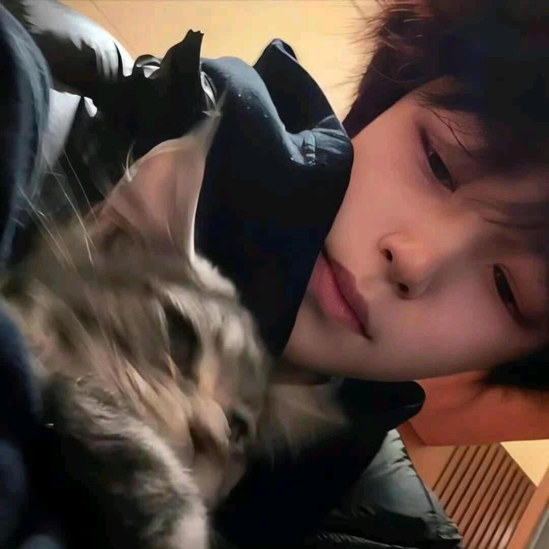 土豆爆炸成洋芋