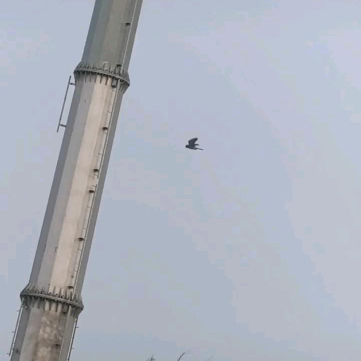 奇闻异录