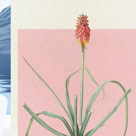 向阳花木早逢春