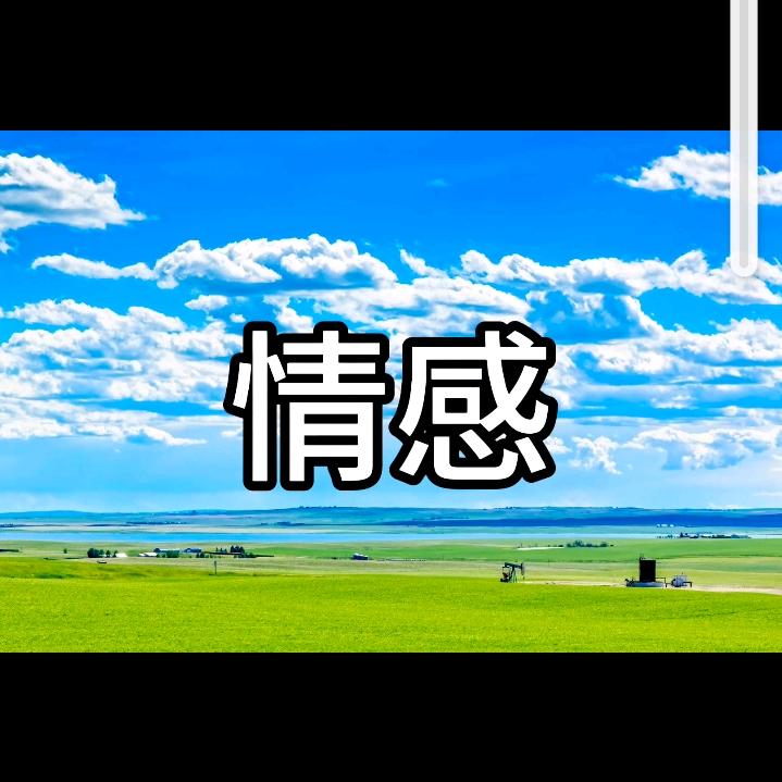 午夜音悦