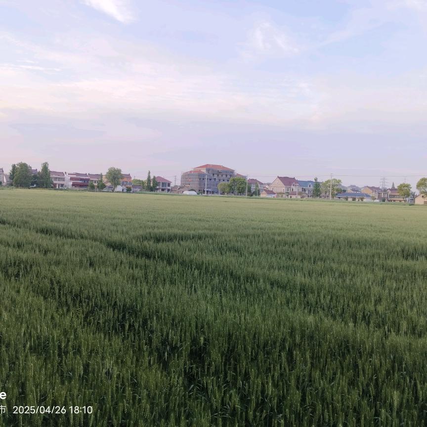 原来的我不是这样的