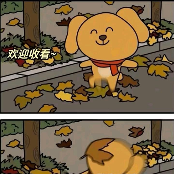 （魔王）南栀北辰
