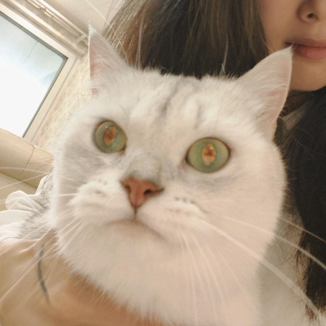 新明汽修-小秦