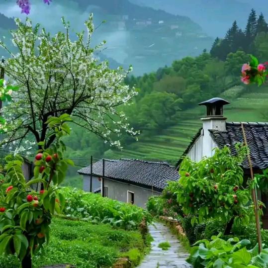 广州元素魔方生物科技有限公司专用号