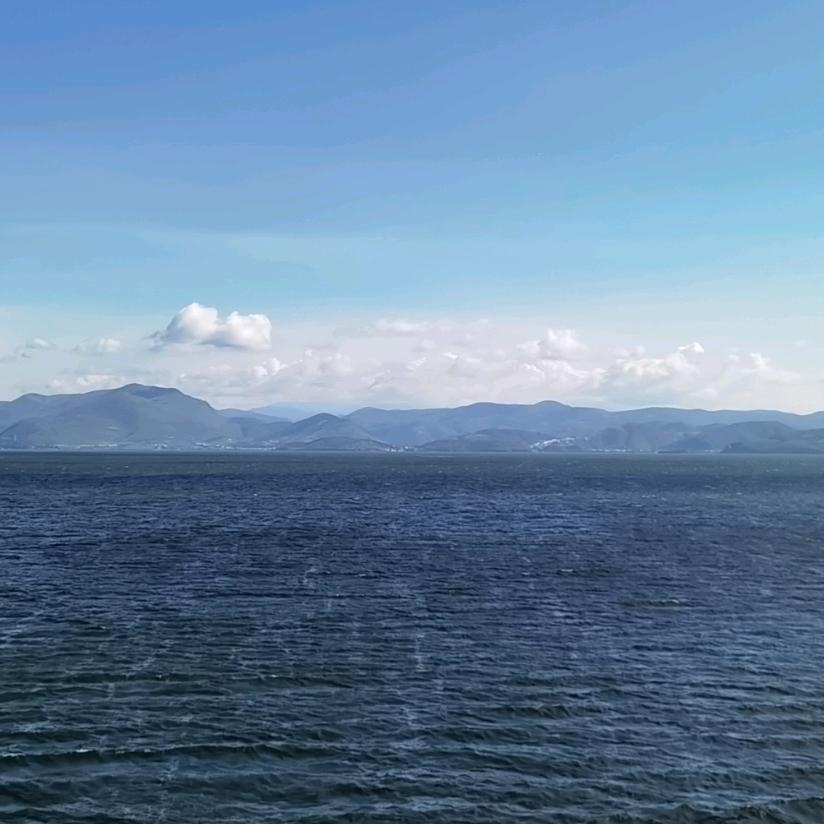 小母牛