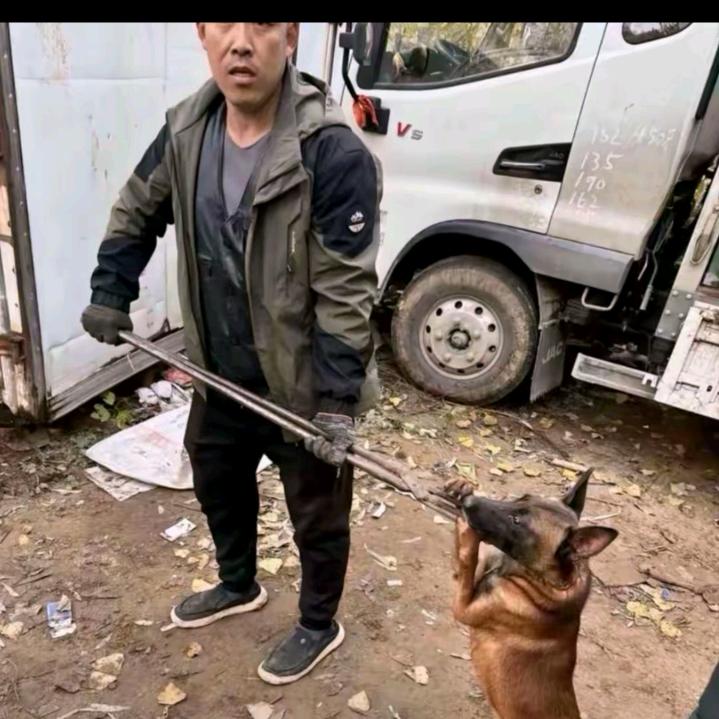 AAA全国专业套狗(从未失手)
