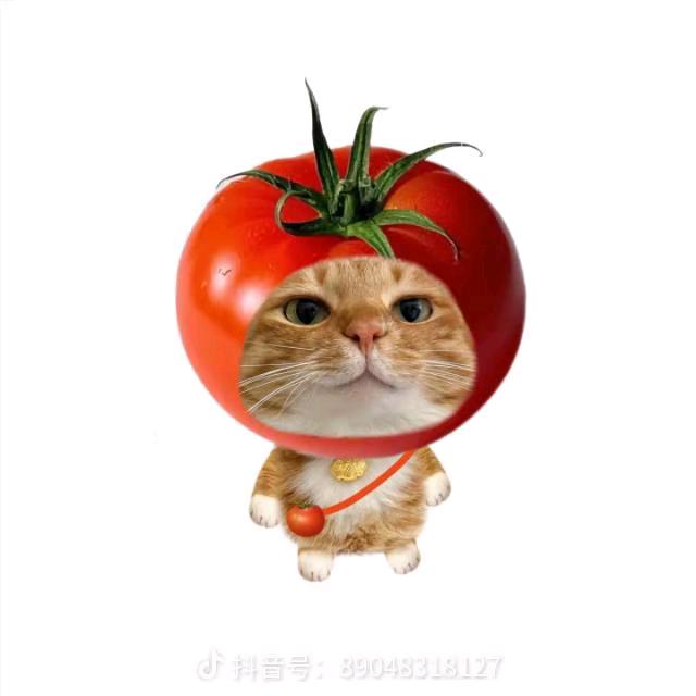 小困包