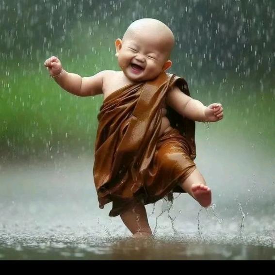 ☁️ঞৣঁ᭄尐胖墩ღ