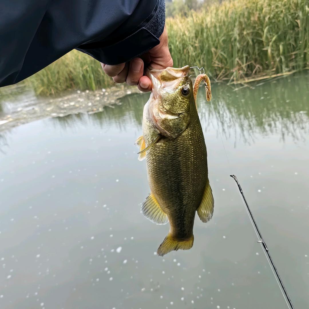 渔乐圈路亚俱乐部