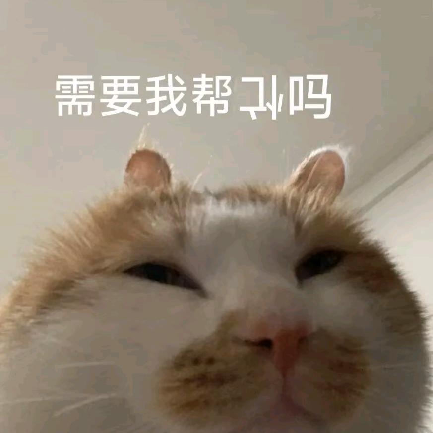 厉飞雨优选