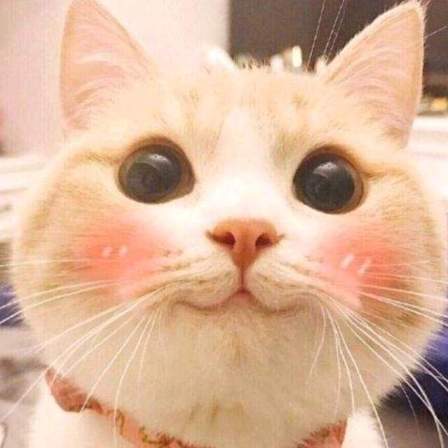 金刚大包子