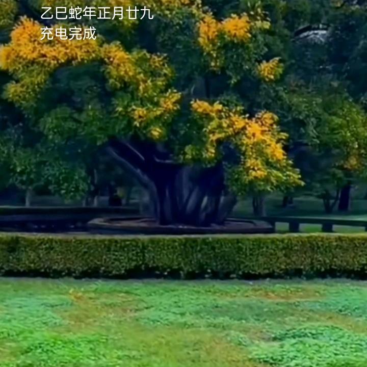 冬天的时候