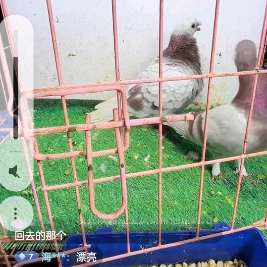 打工的人