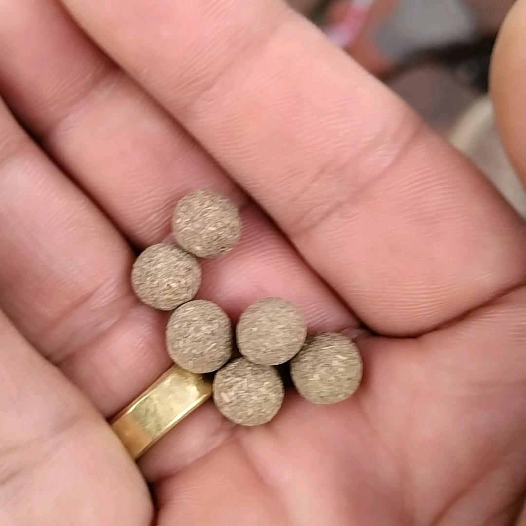 中草药