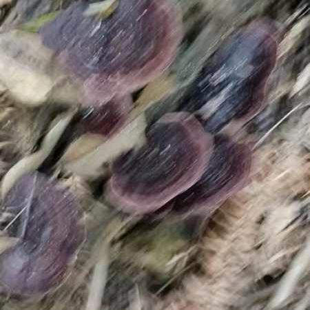 永远有牵挂