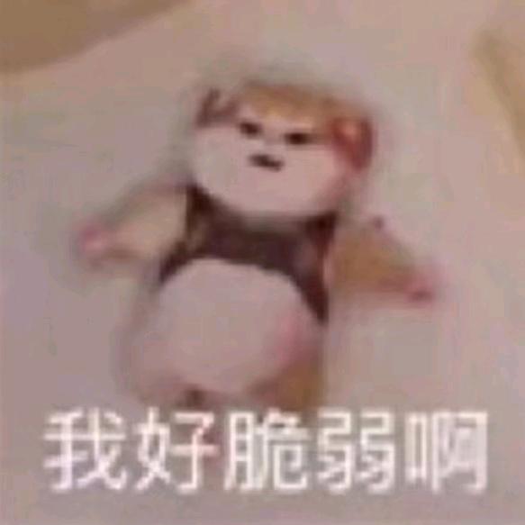 命苦不能怨社会