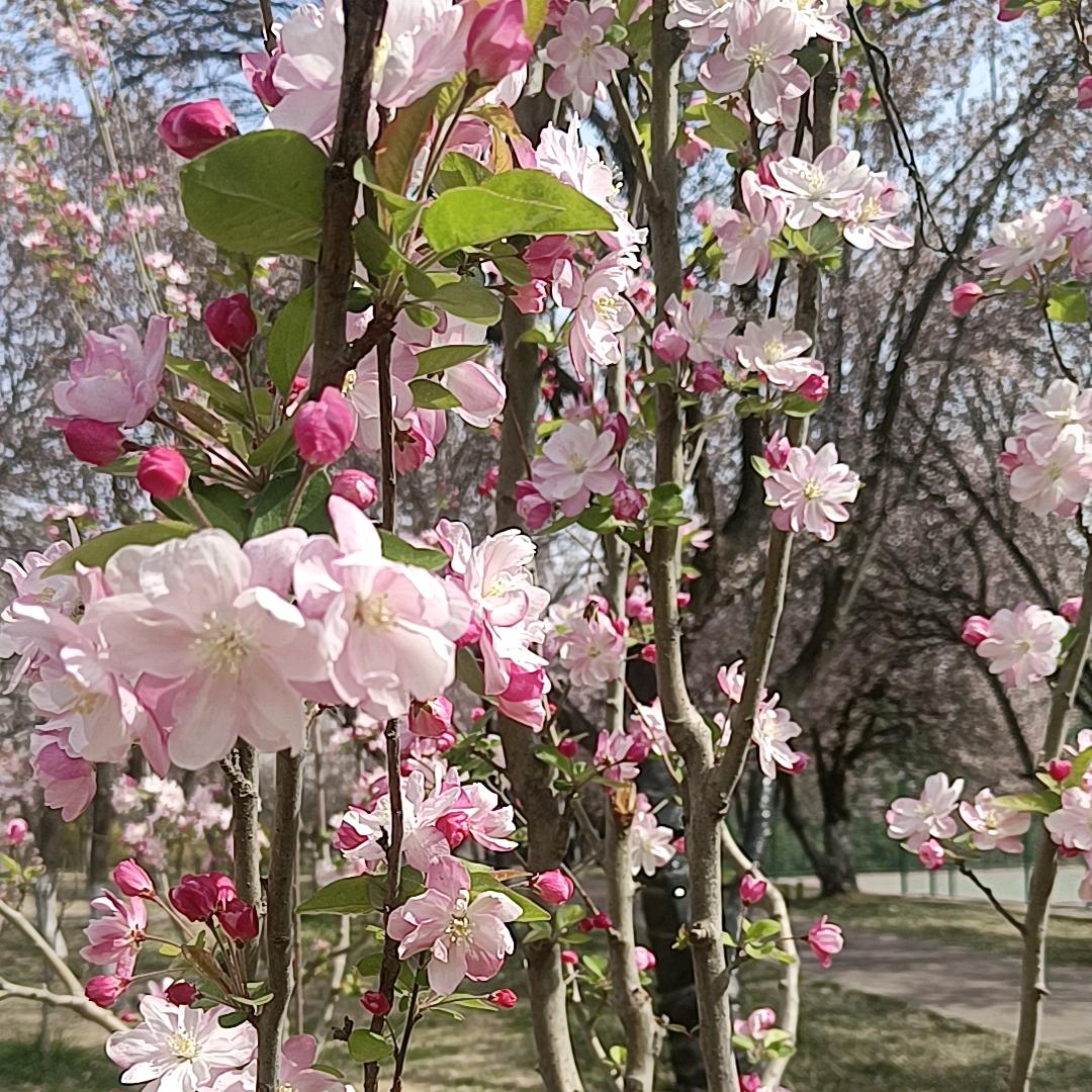 搀  扶