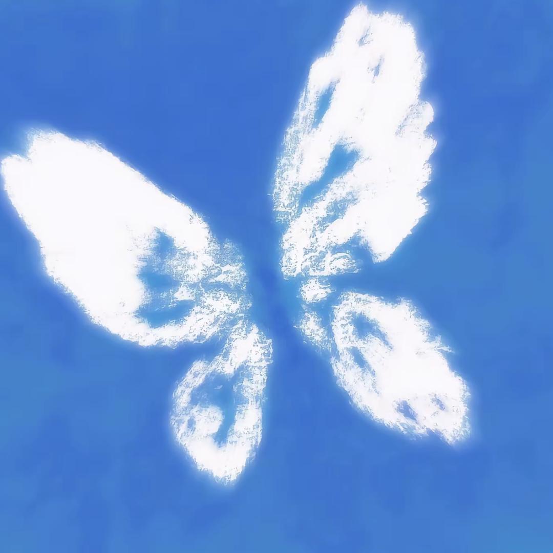祈尘