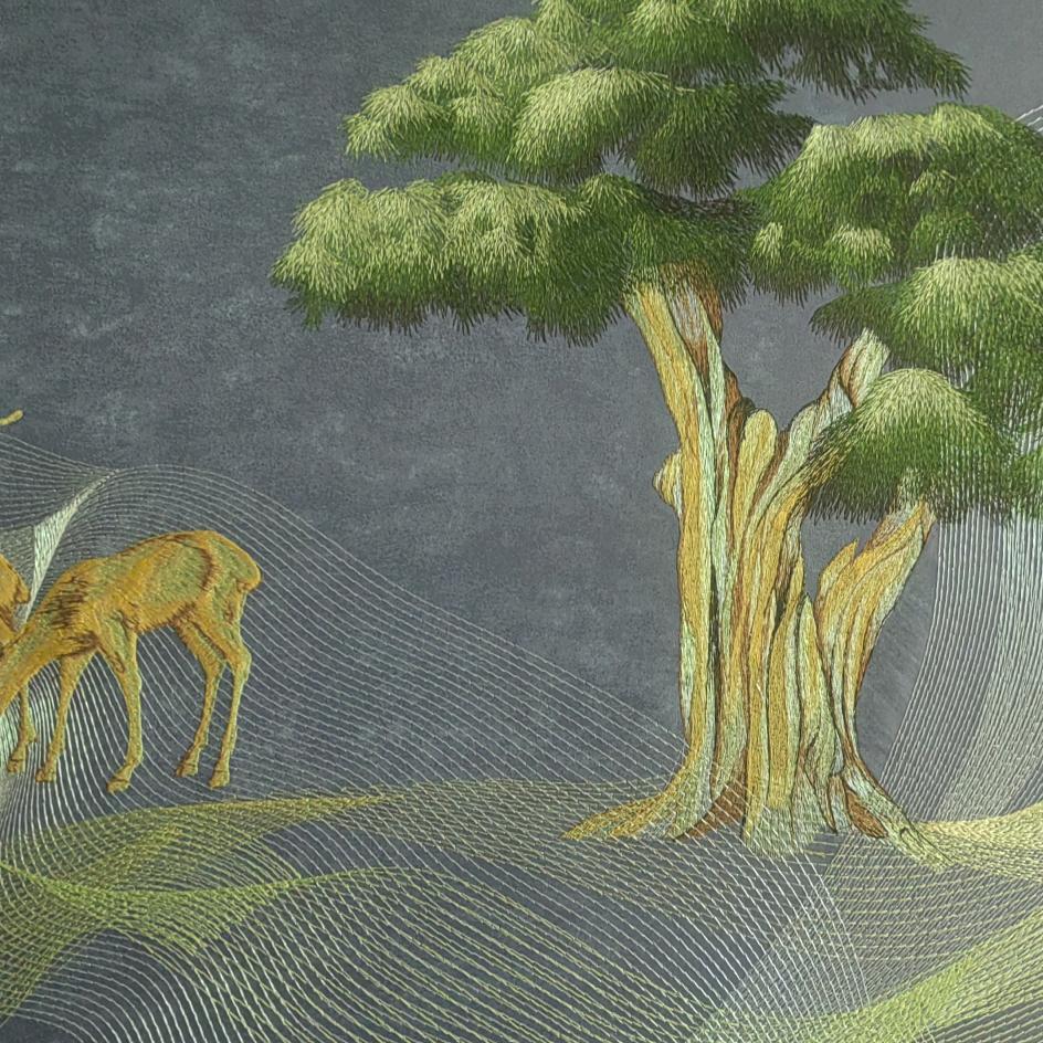 💦💦💦过往不念🌈🌈🌈