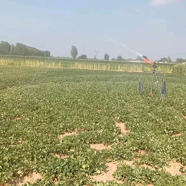 方春锦越来越好