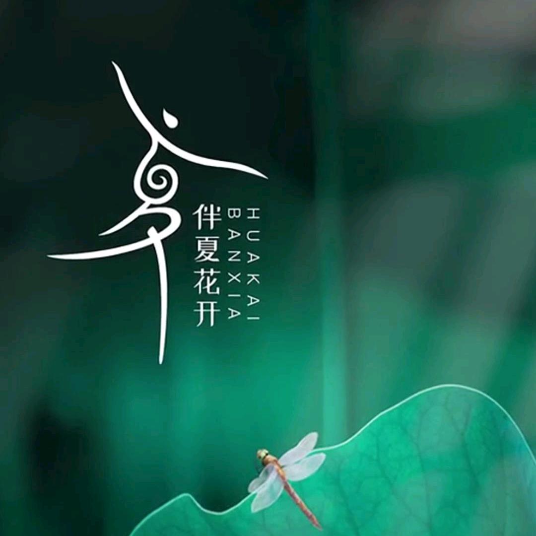 涨粉互粉1000