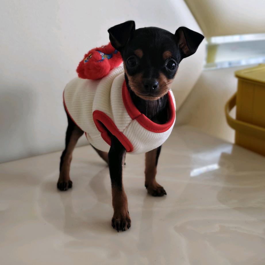 ໑ຼₒ₂5ღ᭄七秒꧔ꦿ᭄