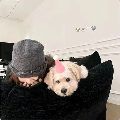 Xu奶绿🐌