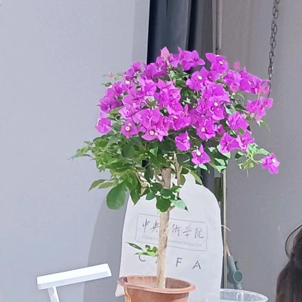 左右家居