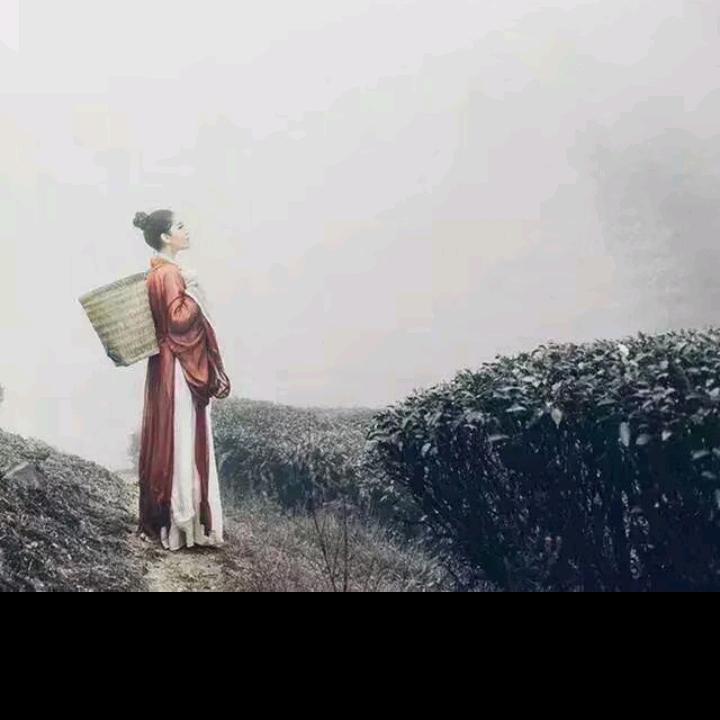 繁华落幕